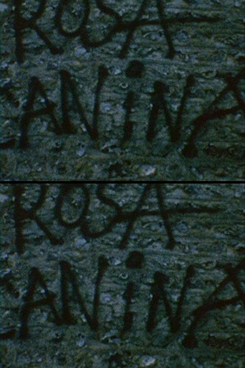 Rosa Canina 1975 official movie poster