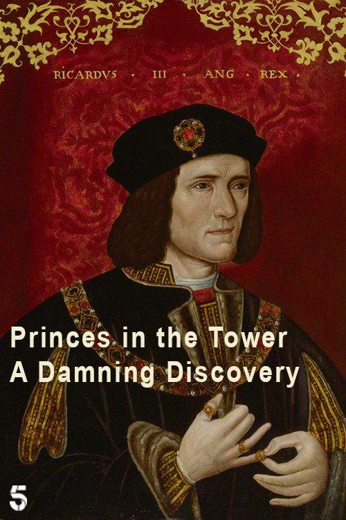 Princes in the Tower: A Damning Discovery 2024 official movie poster