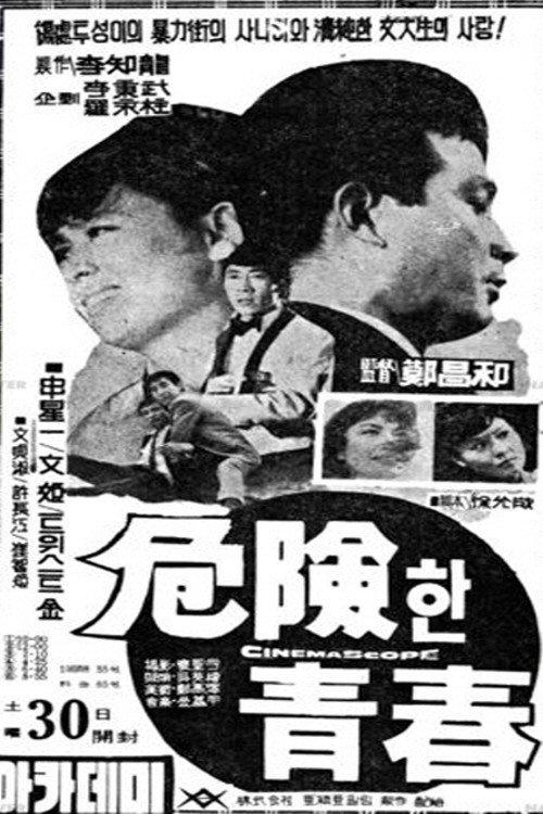 Dangerous Youth 1966 official movie poster