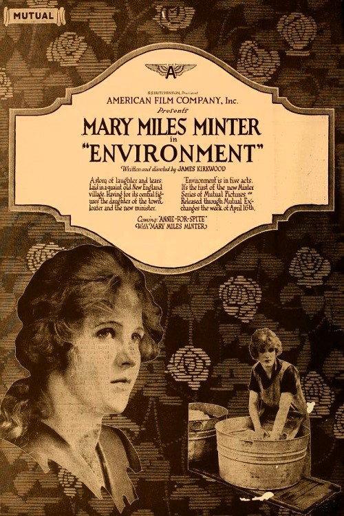 Environment 1917 official movie poster