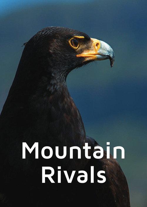 Mountain Rivals 1999 official movie poster