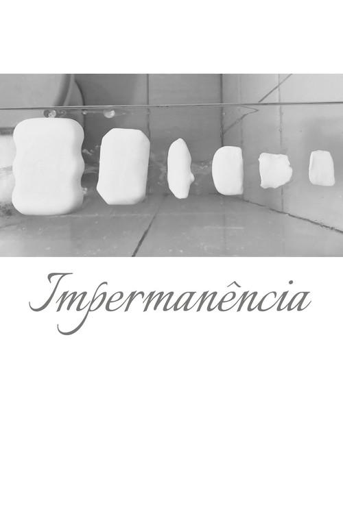 Impermanence 2022 official movie poster