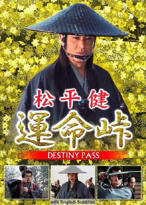 Destiny Pass 1993 official movie poster