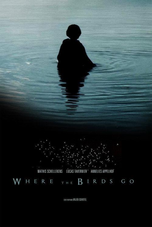 Where the birds go 2019 official movie poster