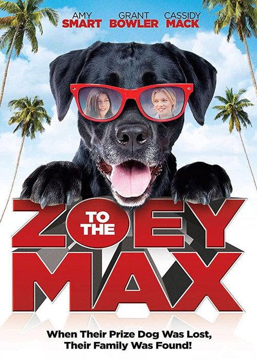 Zoey to the Max 2015 official movie poster