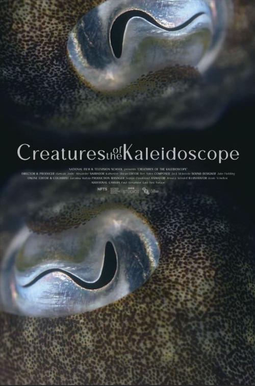 Creatures of the Kaleidoscope 2023 official movie poster