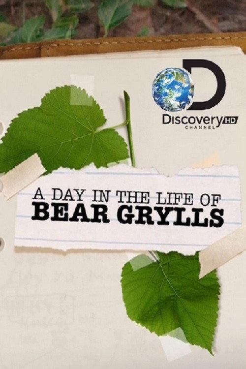 A Day in the Life of Bear Grylls 2012 official movie poster