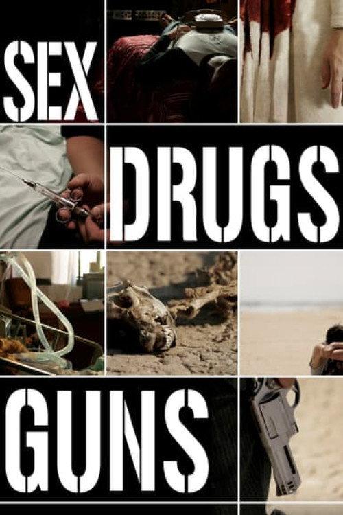 Sex Drugs Guns 2009 official movie poster