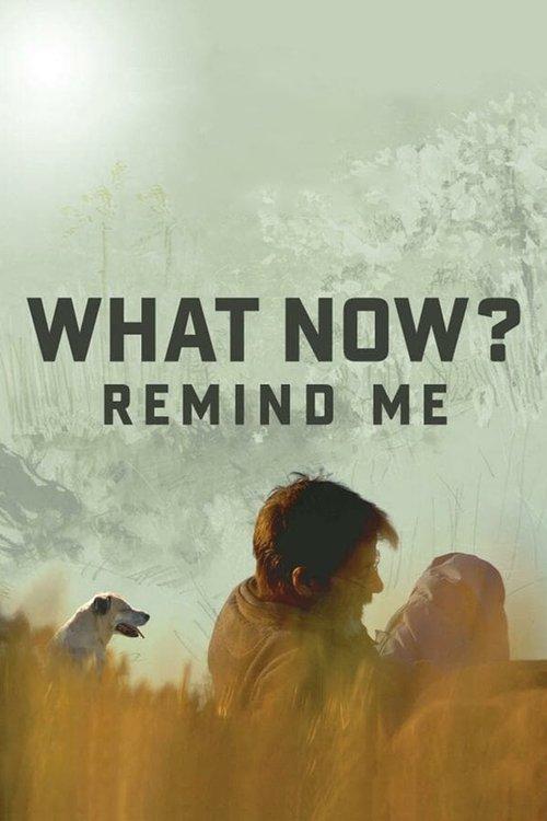 What Now? Remind Me 2014 official movie poster