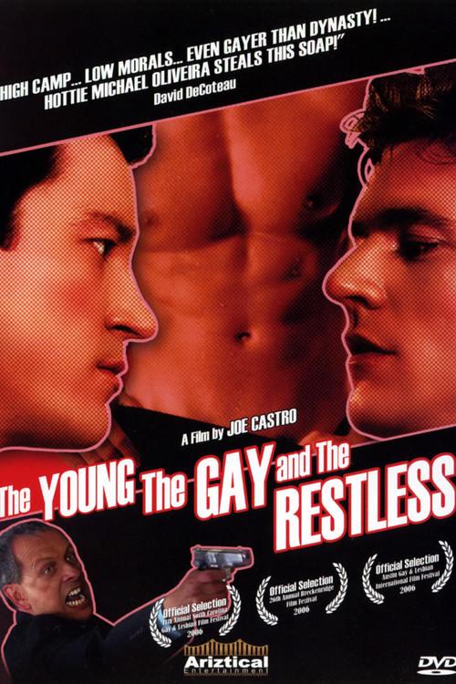 The Young, the Gay and the Restless 2006 official movie poster