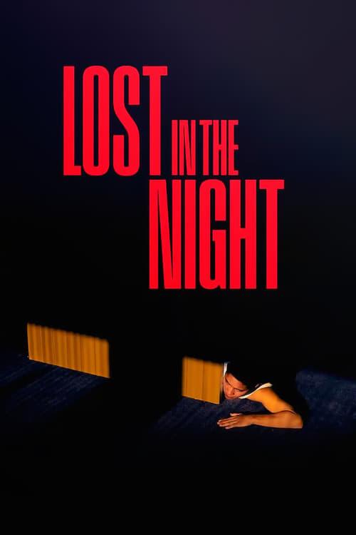 Lost in the Night 2023 official movie poster