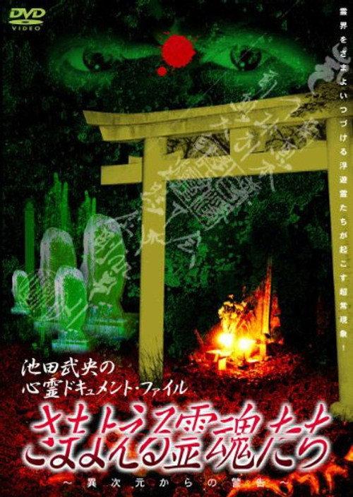 Samayoeru Reikon-tachi 2001 official movie poster