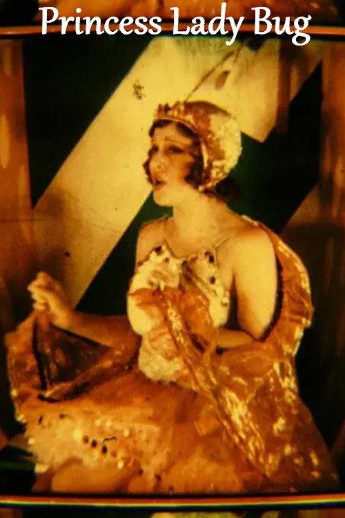 Princess Lady Bug 1930 official movie poster