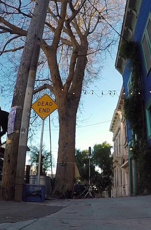 Tree Listening Test 2017 official movie poster