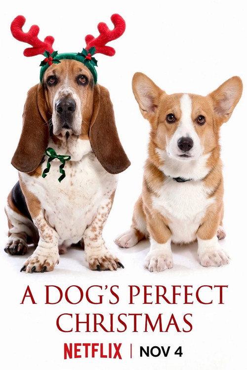 A Dog's Perfect Christmas 2026 official movie poster