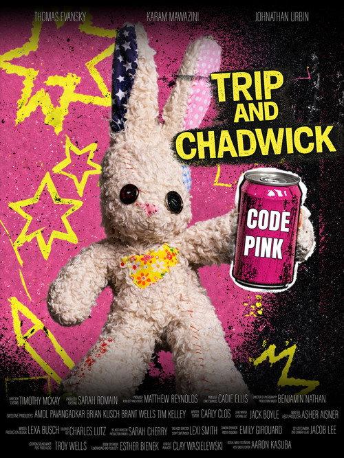 Trip and Chadwick: Code Pink 2026 official movie poster
