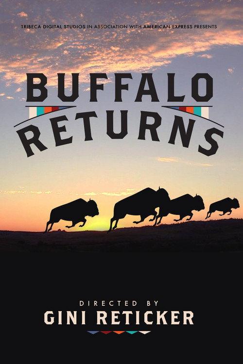 Buffalo Returns 2015 official movie poster