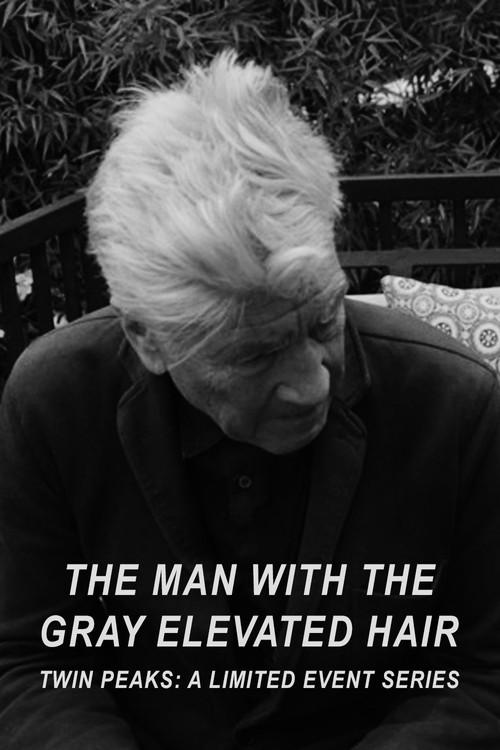 The Man with the Gray Elevated Hair 2017 official movie poster