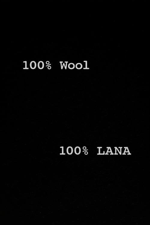 100% lana 1999 official movie poster