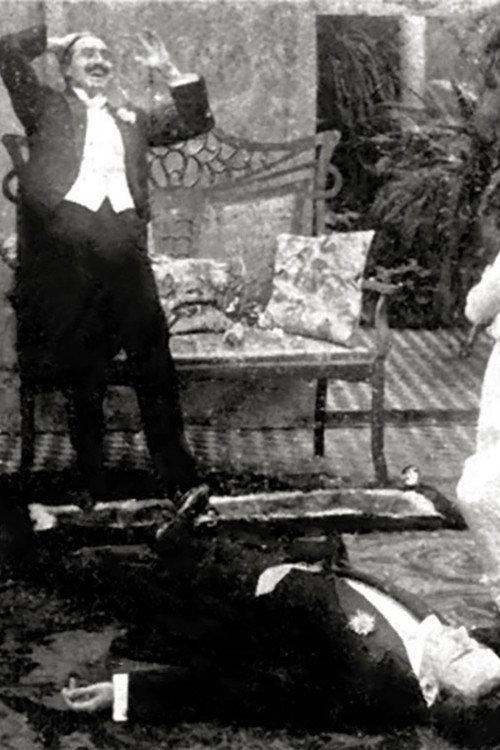 Del Manicomio al Matrimonio 1913 official movie poster