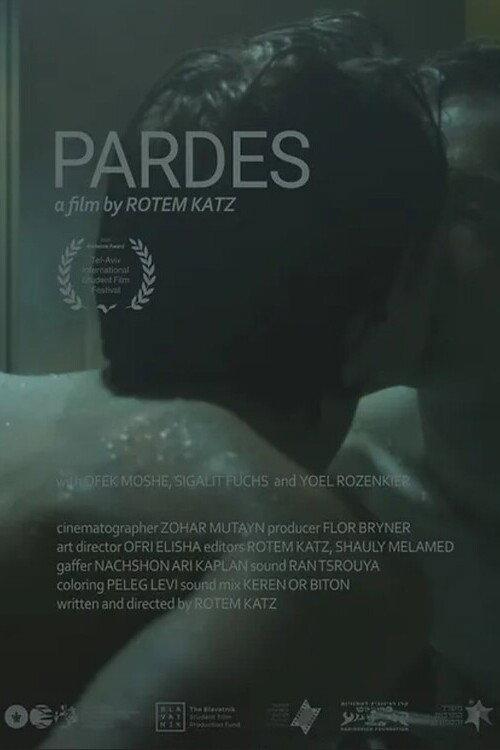 Pardes 2022 official movie poster