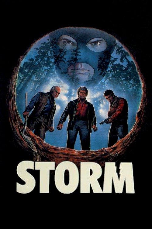 Storm 1987 official movie poster