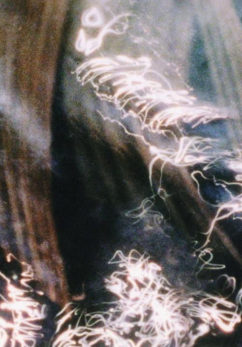 A Darkness Swallowed 2006 official movie poster