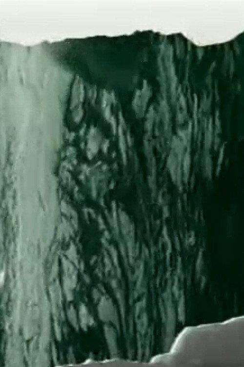 Orka 1997 official movie poster