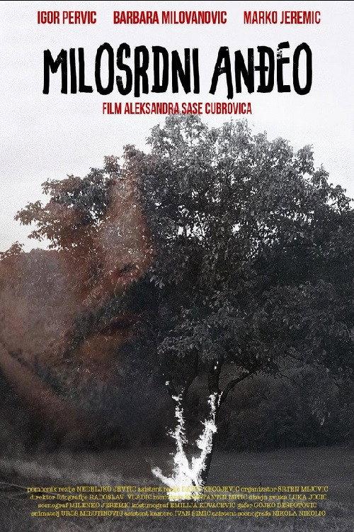 Merciful Angel 2013 official movie poster