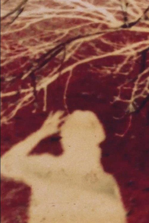 Walk 1980 official movie poster