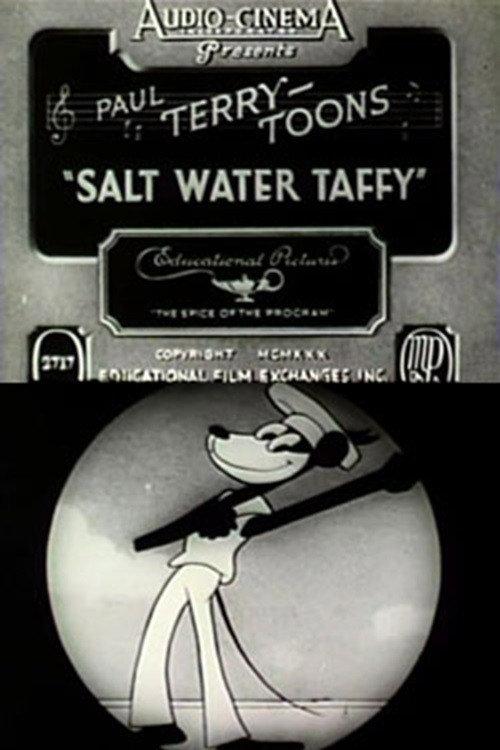 Salt Water Taffy 1930 official movie poster