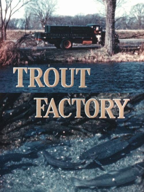 Trout Factory 1948 official movie poster