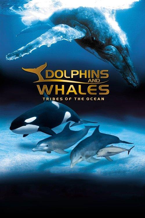 IMAX Dolphins and Whales: Tribes of the Ocean 2008 official movie poster