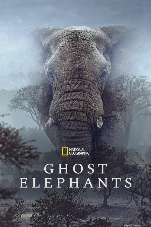 Ghost Elephants 2026 official movie poster