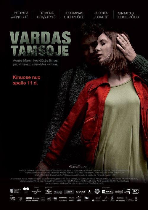Name in the Dark 2013 official movie poster