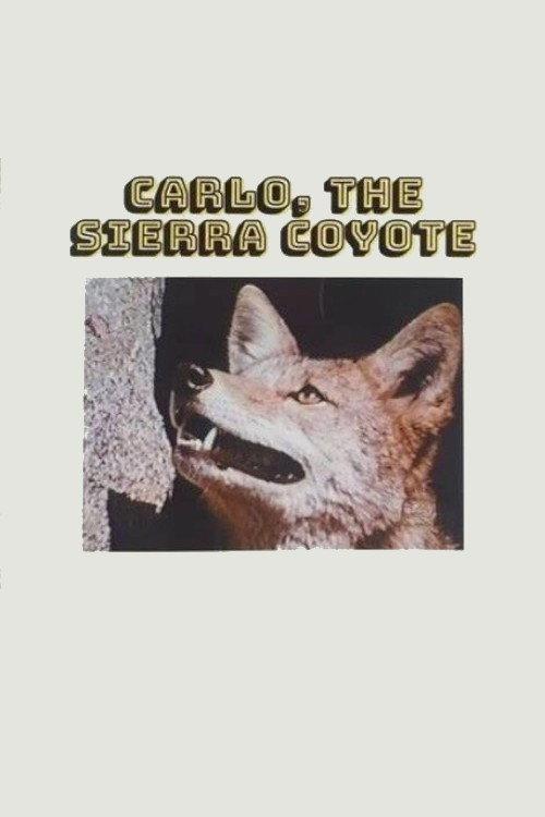 Carlo the Sierra Coyote 1974 official movie poster