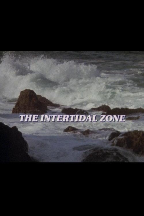 The Intertidal Zone 1985 official movie poster