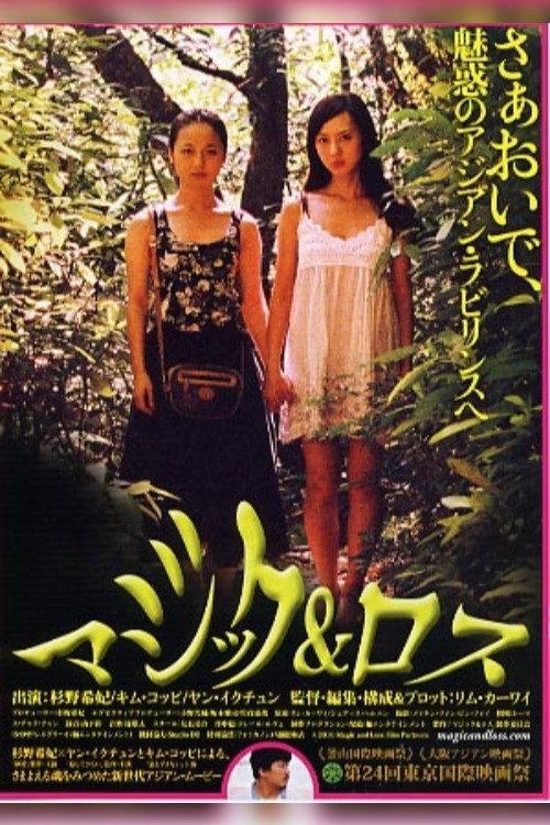 Magic and Loss 2010 official movie poster