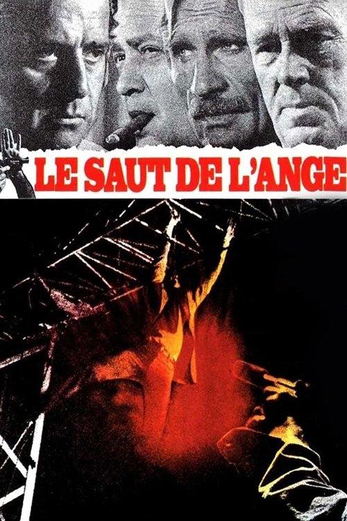 Angel's Leap 1971 official movie poster