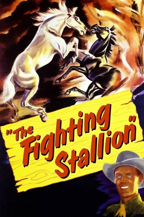 The Fighting Stallion 1950 official movie poster