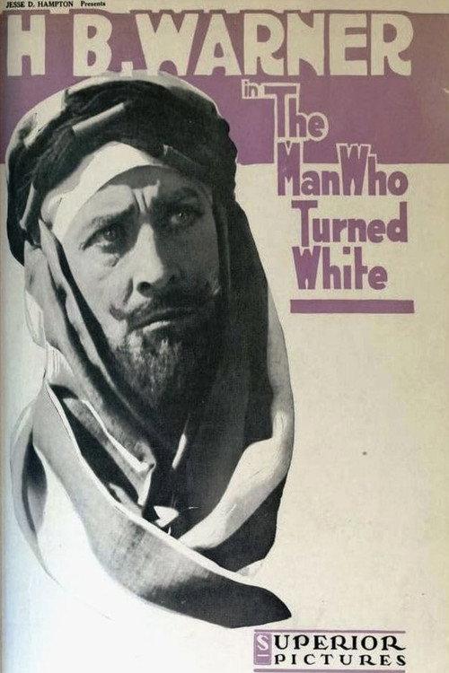 The Man Who Turned White 1919 official movie poster