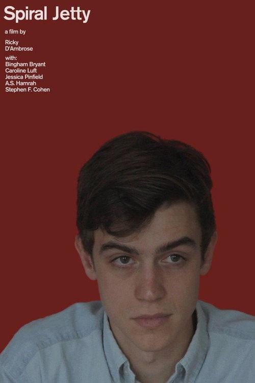 Spiral Jetty 2017 official movie poster