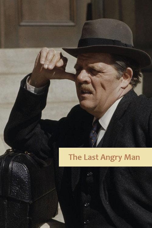 The Last Angry Man 1974 official movie poster