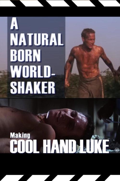 A Natural Born World-Shaker: The Making of 'Cool Hand Luke' 2008 official movie poster