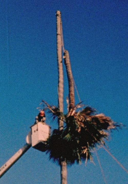 Palm Down 2012 official movie poster