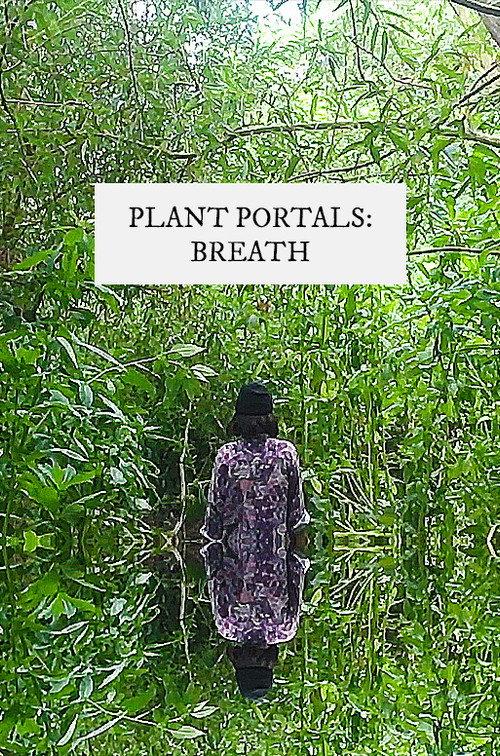 plant portals: breath 2020 official movie poster