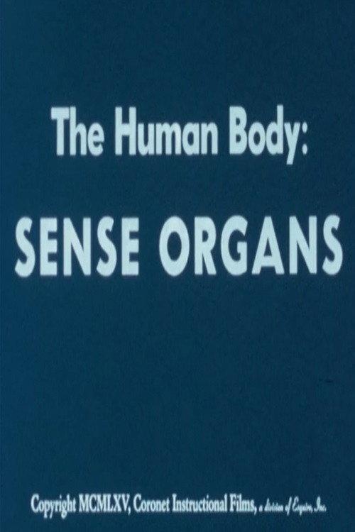 The Human Body: Sense Organs 1965 official movie poster