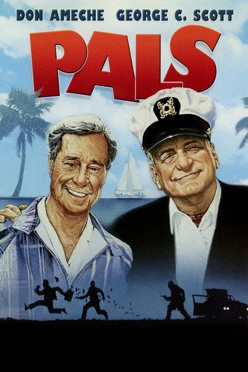 Pals 1987 official movie poster