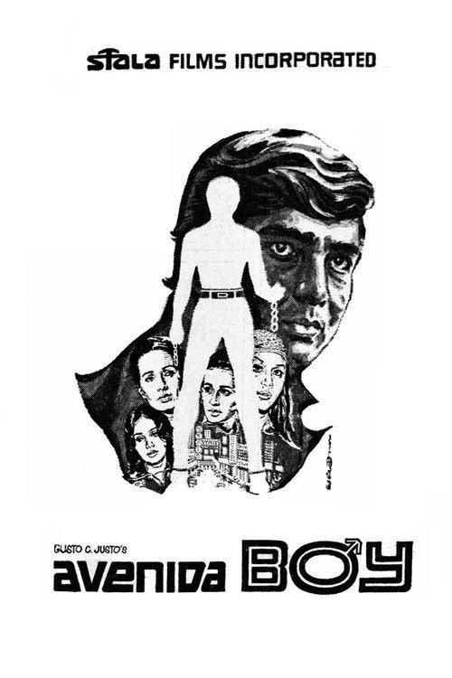 Avenida Boy 1971 official movie poster