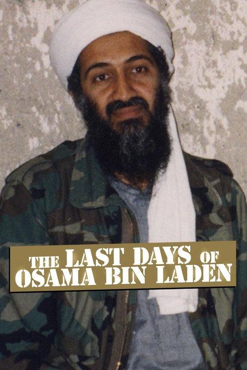 The Last Days of Osama Bin Laden 2011 official movie poster